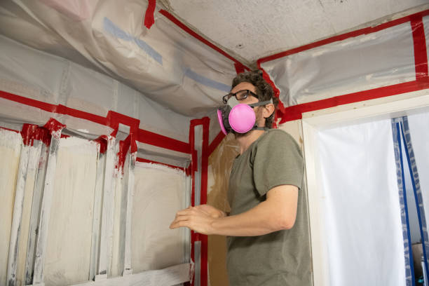 Best Asbestos and Lead Testing During Mold Inspection  in Springboro, OH