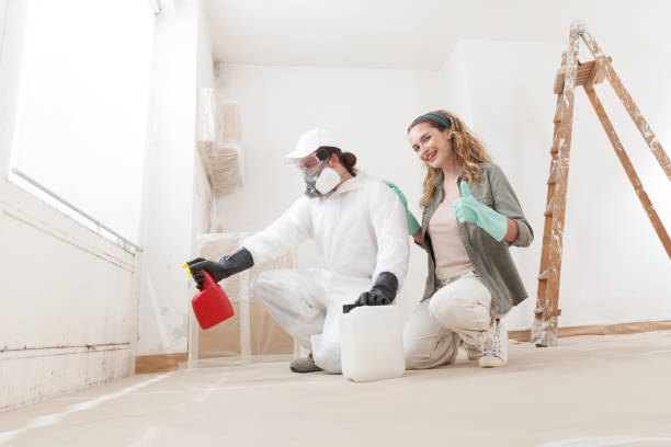 Best Industrial Mold Remediation  in Springboro, OH